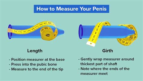 is 6 inch girth good|Shown Actual Size: A Penis Shape & Size Lowdown